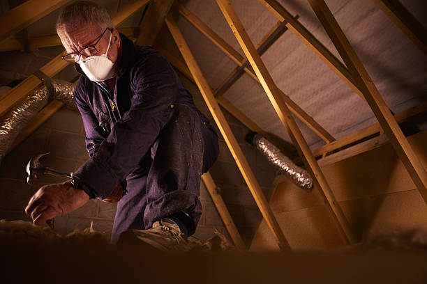 Types of Insulation We Offer in Edgemoor, DE