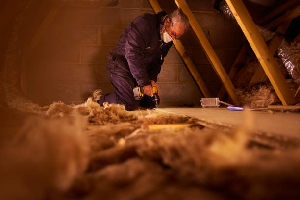 Best Fiberglass Insulation in Edgemoor, DE